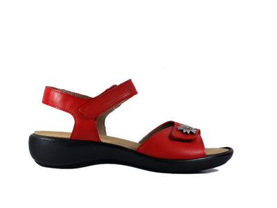 Sandalias para plantar Alicante - Vicente